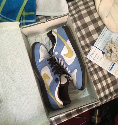 Nike Sb Dunk Homer