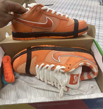 Nike Sb Dunk Lobsters
