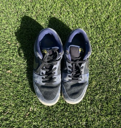 Nike Sb Dunk Low