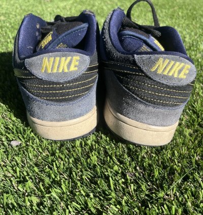 Nike Sb Dunk Low
