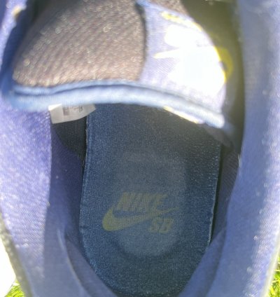 Nike Sb Dunk Low
