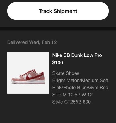 Nike Sb Dunk Low