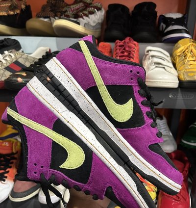 Nike Sb Dunk Low Acg 10 5
