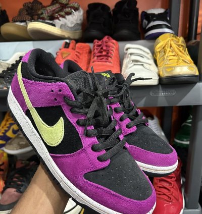 Nike Sb Dunk Low Acg 10 5