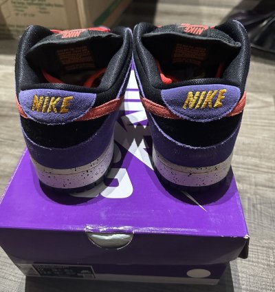 Nike Sb Dunk Low Acg Terra Varsity Purple Size 12 Bq6817-008