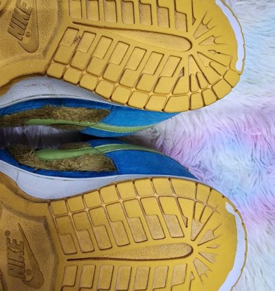 Nike Sb Dunk Low Baby Bear