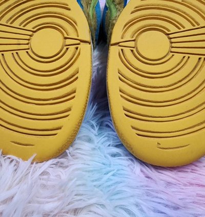 Nike Sb Dunk Low Baby Bear