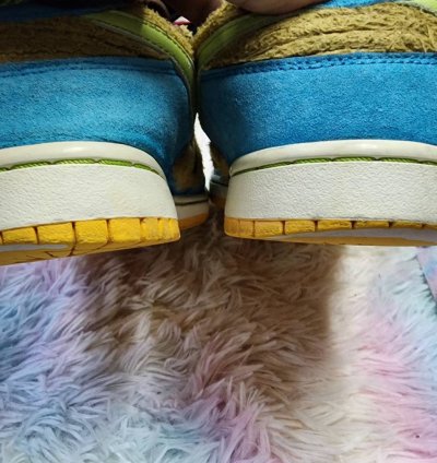 Nike Sb Dunk Low Baby Bear