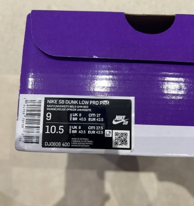 Nike Sb Dunk Low Barcelona