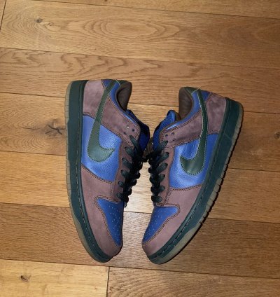 Nike Sb Dunk Low Barf