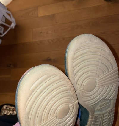Nike Sb Dunk Low Barf