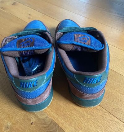 Nike Sb Dunk Low Barf
