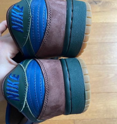 Nike Sb Dunk Low Barf