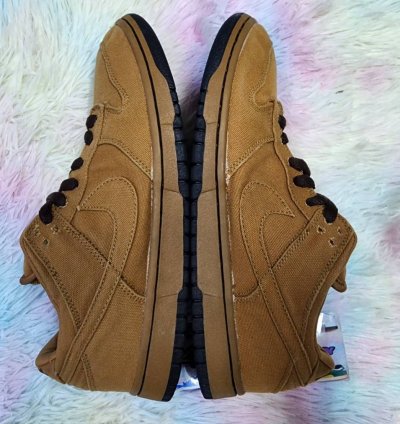 Nike Sb Dunk Low Carhartt