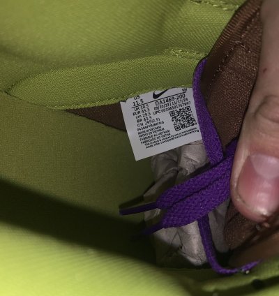 2024 Nike Dunk Low Veneer
