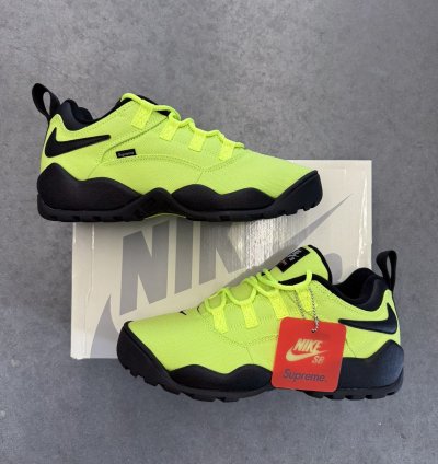 2024 Supreme Nike Sb Darwin Low Volt