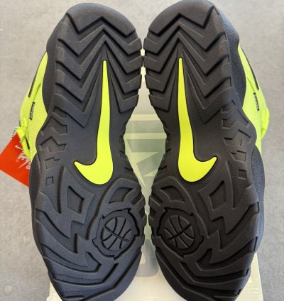 2024 Supreme Nike Sb Darwin Low Volt