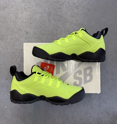2024 Supreme Nike Sb Darwin Low Volt