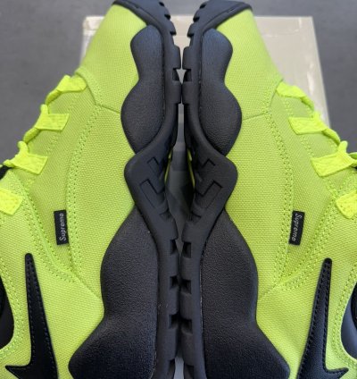 2024 Supreme Nike Sb Darwin Low Volt