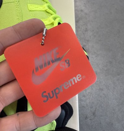 2024 Supreme Nike Sb Darwin Low Volt