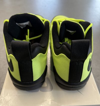 2024 Supreme Nike Sb Darwin Low Volt