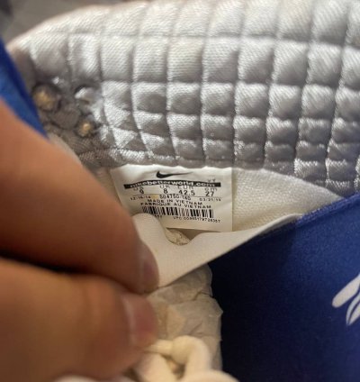 Nike Sb Dunk Low Concepts Grail