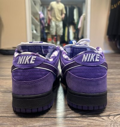 Nike Sb Dunk Low Concepts Purple Lobster