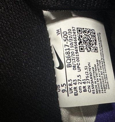 Nike Sb Dunk Low Court People 2021