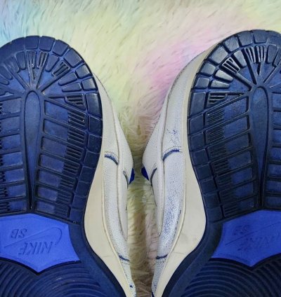 Nike Sb Dunk Low Cracked Leather
