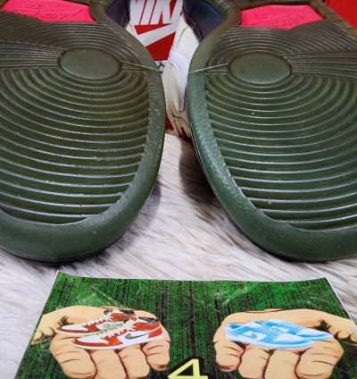 Nike Sb Dunk Low Dorothy