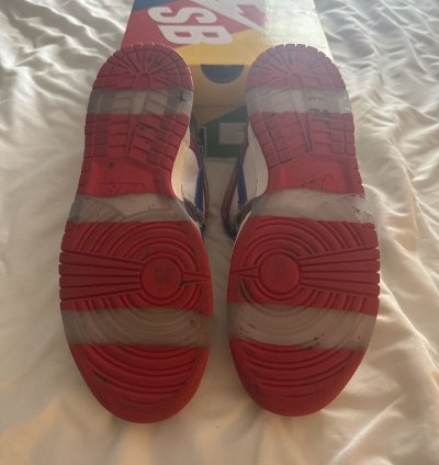 Nike Sb Dunk Low Ebay