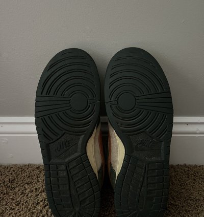 Nike Sb Dunk Low Eire Size 10 5