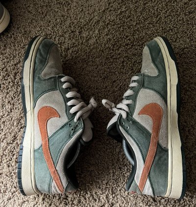 Nike Sb Dunk Low Eire Size 10 5