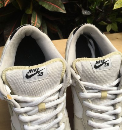 Nike Sb Dunk Low Gino Iannucci 3