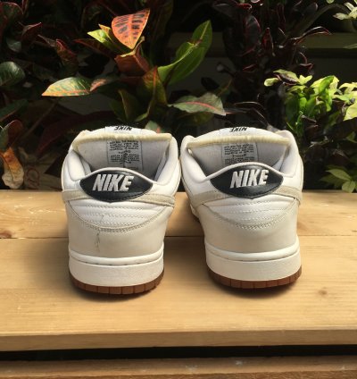 Nike Sb Dunk Low Gino Iannucci 3