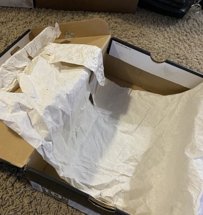 Jordan 9 Calvin Bailey Sz 10