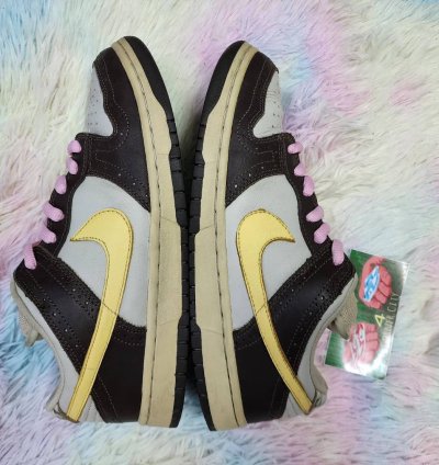 Nike Sb Dunk Low Golf