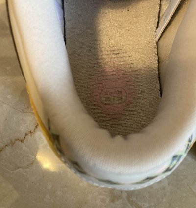 Nike Sb Dunk Low Golf Net
