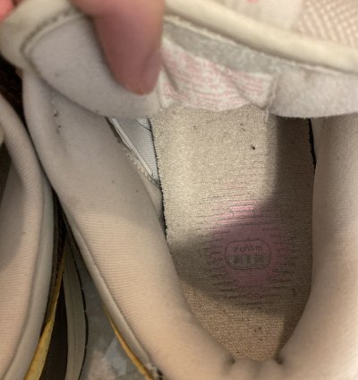 Nike Sb Dunk Low Golf Net