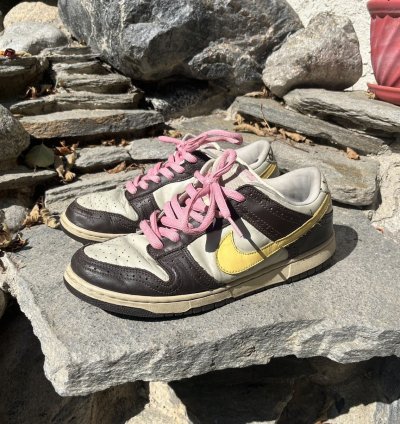 Nike Sb Dunk Low Golf Net - Brown
