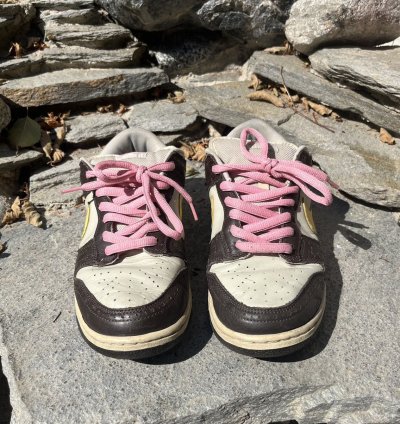 Nike Sb Dunk Low Golf Net - Brown