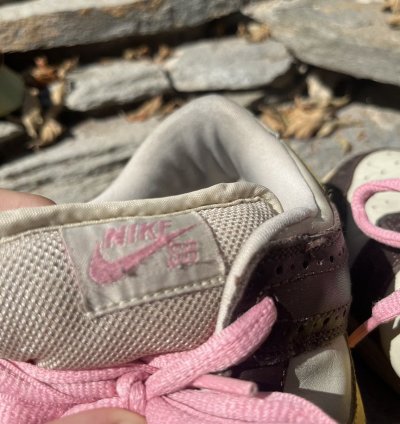 Nike Sb Dunk Low Golf Net - Brown