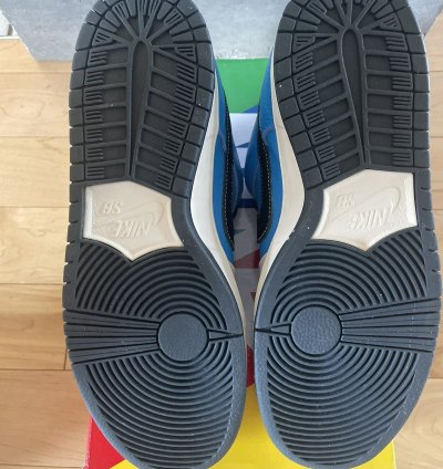 Nike Sb Dunk Low Instant