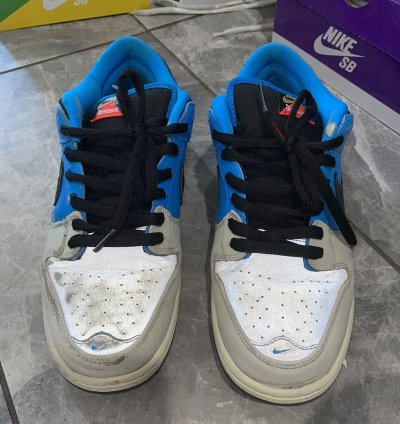 Nike Sb Dunk Low Instant Skateboard