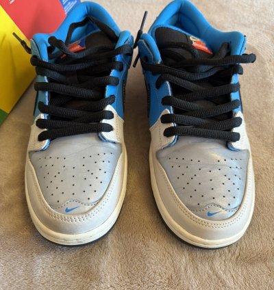 Nike Sb Dunk Low Instant Skateboards
