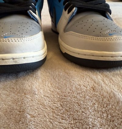 Nike Sb Dunk Low Instant Skateboards