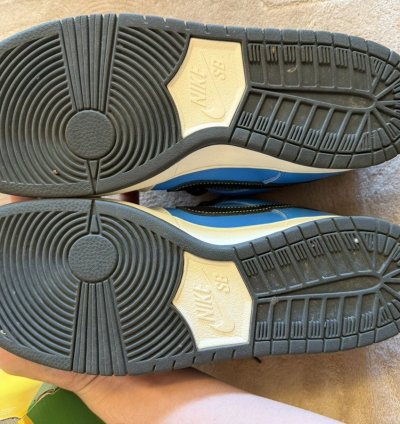 Nike Sb Dunk Low Instant Skateboards