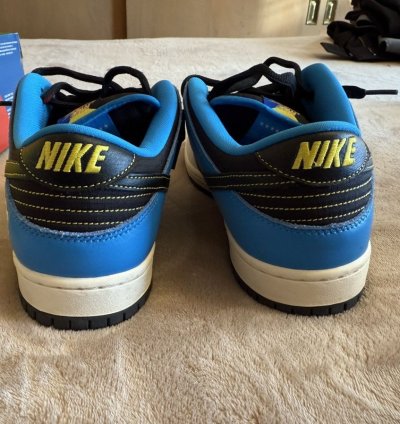Nike Sb Dunk Low Instant Skateboards