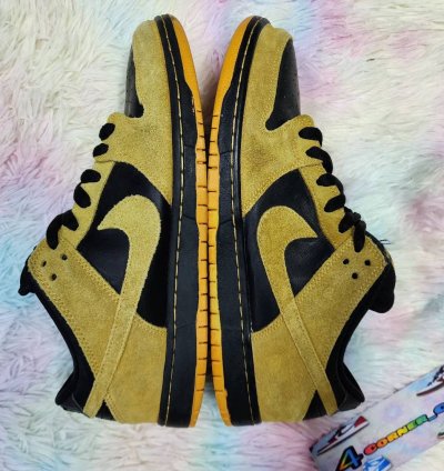 Nike Sb Dunk Low Iowa