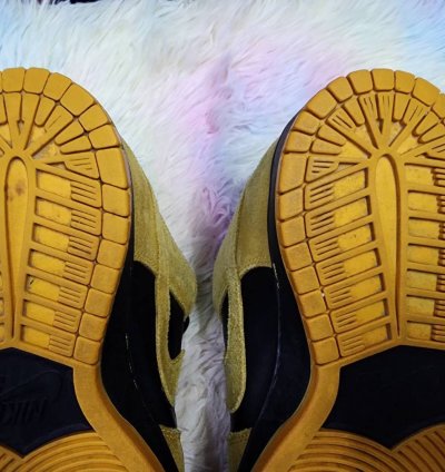 Nike Sb Dunk Low Iowa